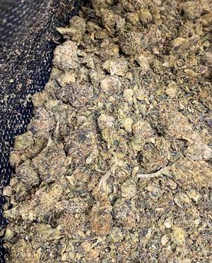 SuperMix Popcorn Nugs - Mix of all Strains  - DANK!