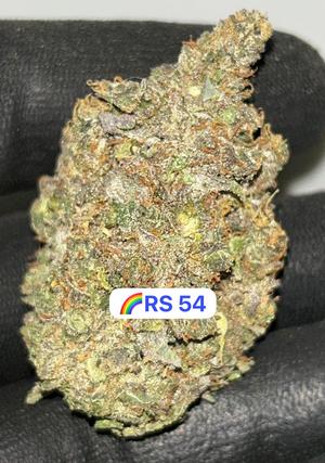 UK BUD'S