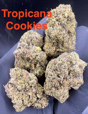 Flower Deals 🇺🇸🇺🇸