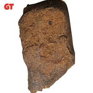 Golden Ketama (High grade)