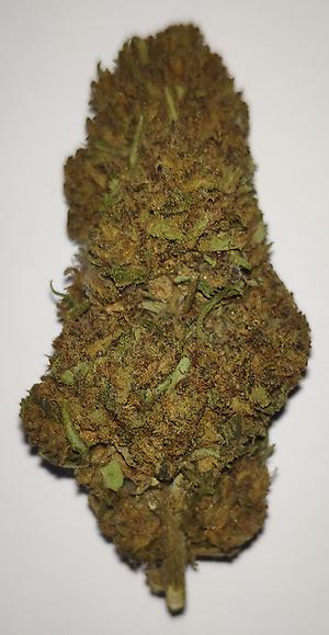 STRAWBERRY FIELDS – 16% CBD BUDS