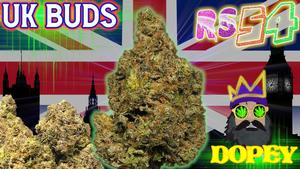 UK BUD'S