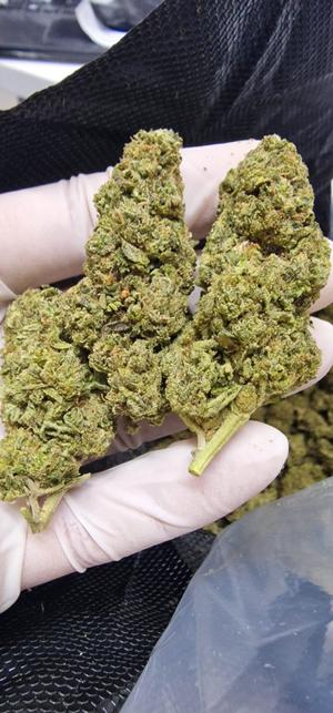 Mendo Breath - Cakey and cookie smell - Dapper Dank