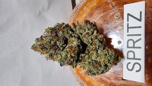 UK GROWN FLOWER