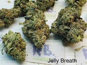 JELLY BREATH