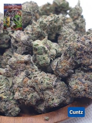 [Exclusive] Top Shelf UK