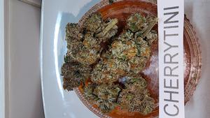 UK GROWN FLOWER