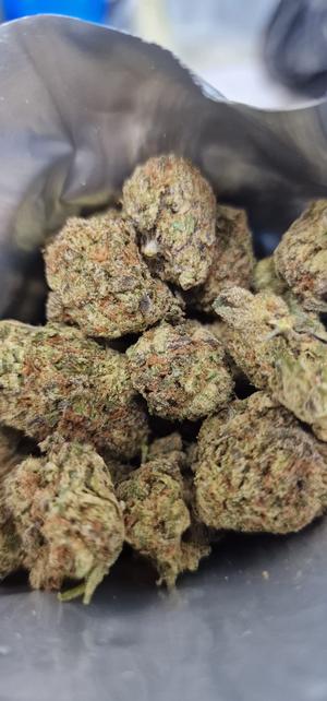 Static Shock ⚡️- White Widow x Skunk #1