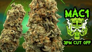 UK BUD'S