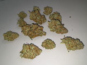 ChemDawg