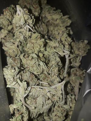 Amnesia Haze *small airy/stalky Buds*