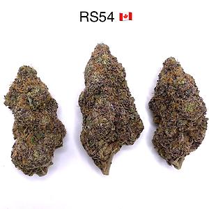 RS54 [Rainbow Sherbet #54]