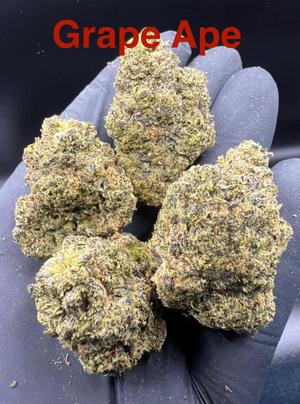 Flower Deals 🇺🇸🇺🇸
