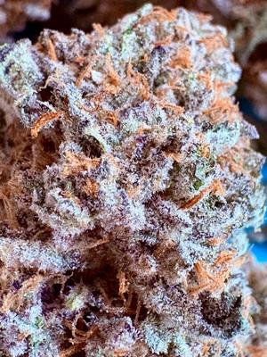 Gelato