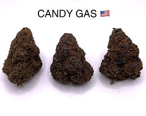 BACIO GELATO X RUNTZ [CANDY GAS]