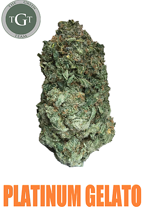 PLATINUM GELATO *EXCLUSIVE*