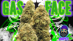 Super Flavour's