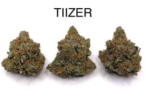 TIIZER