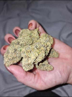 Gelato AKA Larry Bird