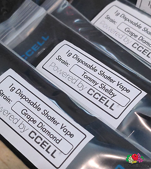 70/30 Shatter Disposables