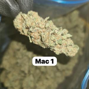 UK BUD'S