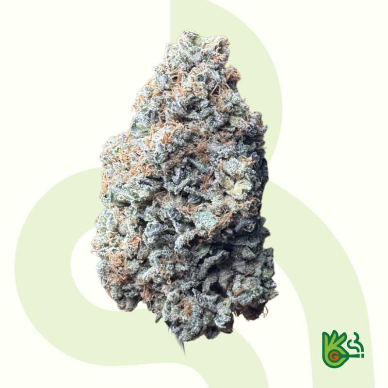 Alien Dawg *Free Shipping*