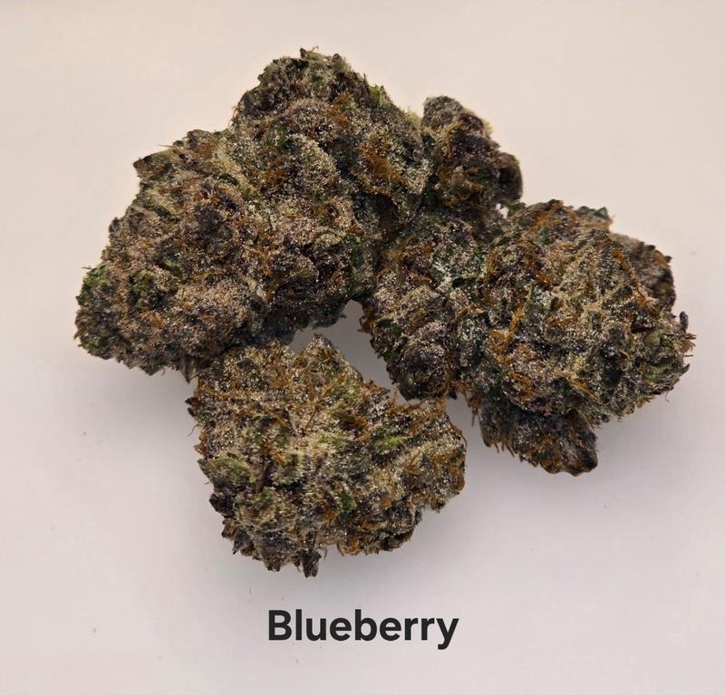 Make an oz for £160! ( Free T24 )