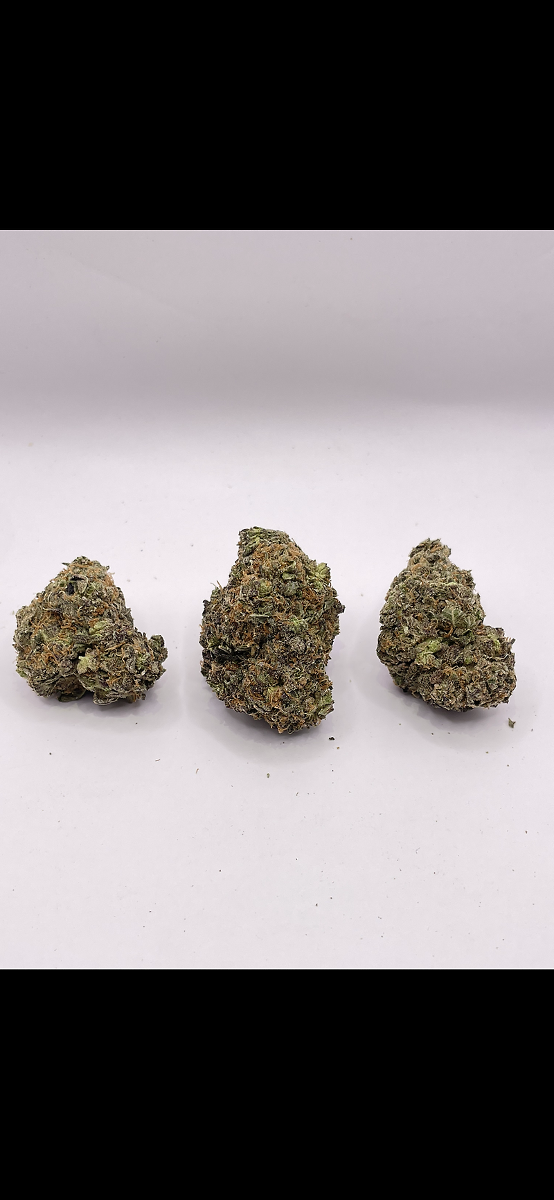 GG4
