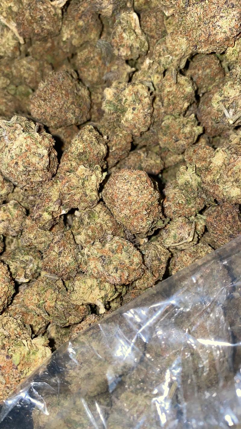 Space Rocks (Space Queen X Rocky Mountain) 💜 🏔 🚀