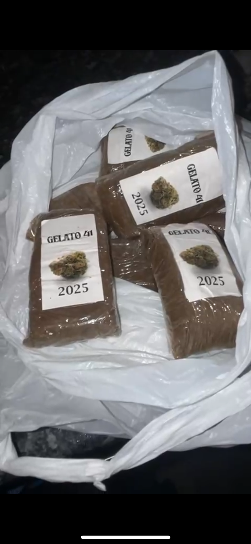 Hash- moroccon mafia