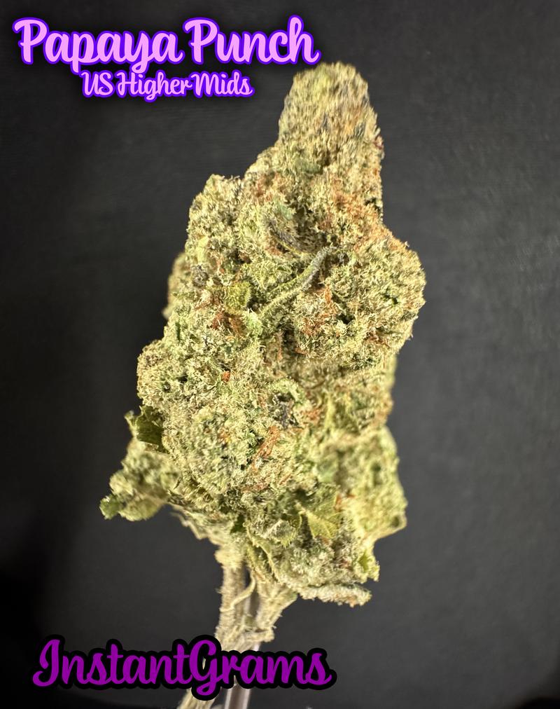 [IMPORT] 🇺🇸 Higher Mids