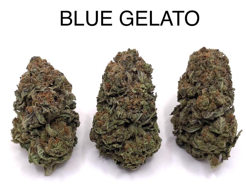 BLUE GELATO