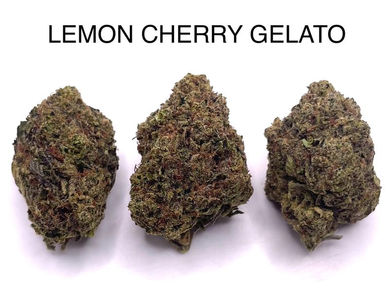 LEMON CHERRY GELATO