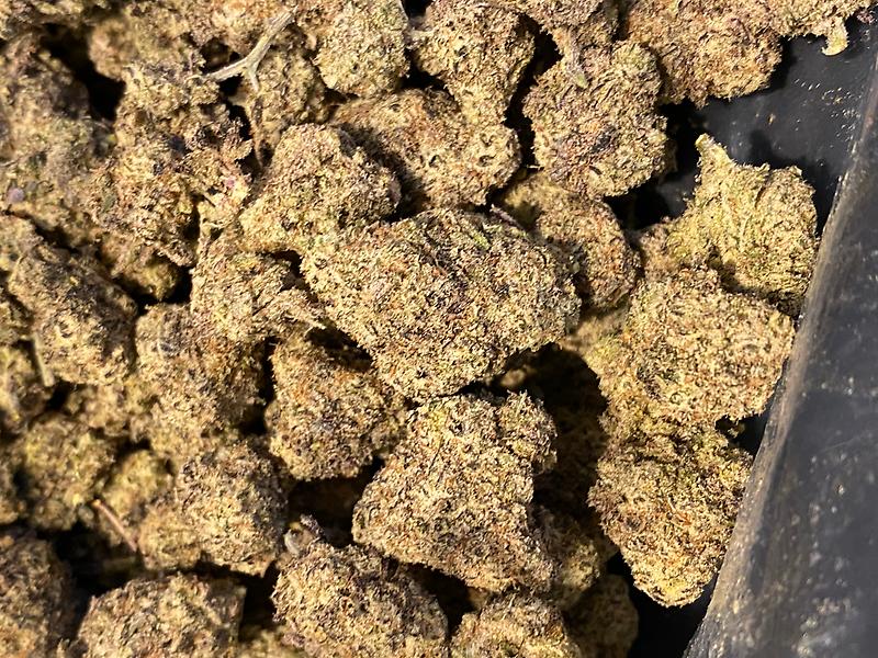 Key Lime Cookies 🍪 Purple FROSTY & Loud Terps