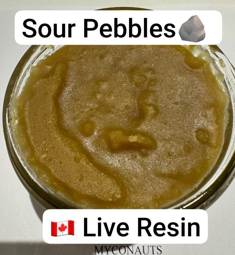 Extracts