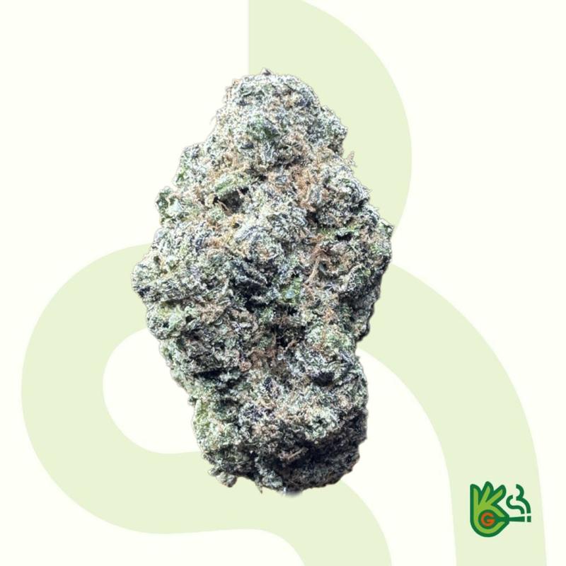 Donny Burger *Free Shipping*