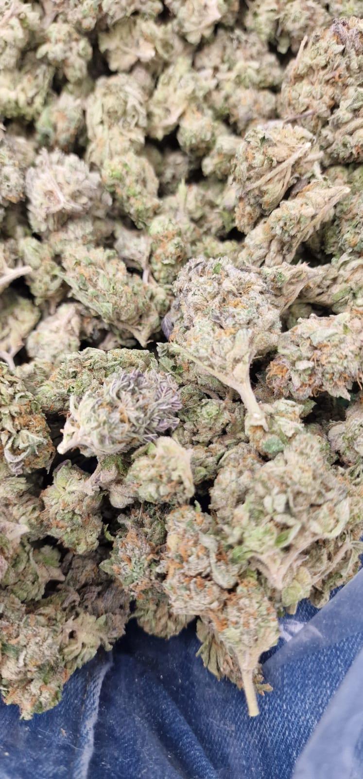 Z11 - Fruity Zkittles Real Deal Cut