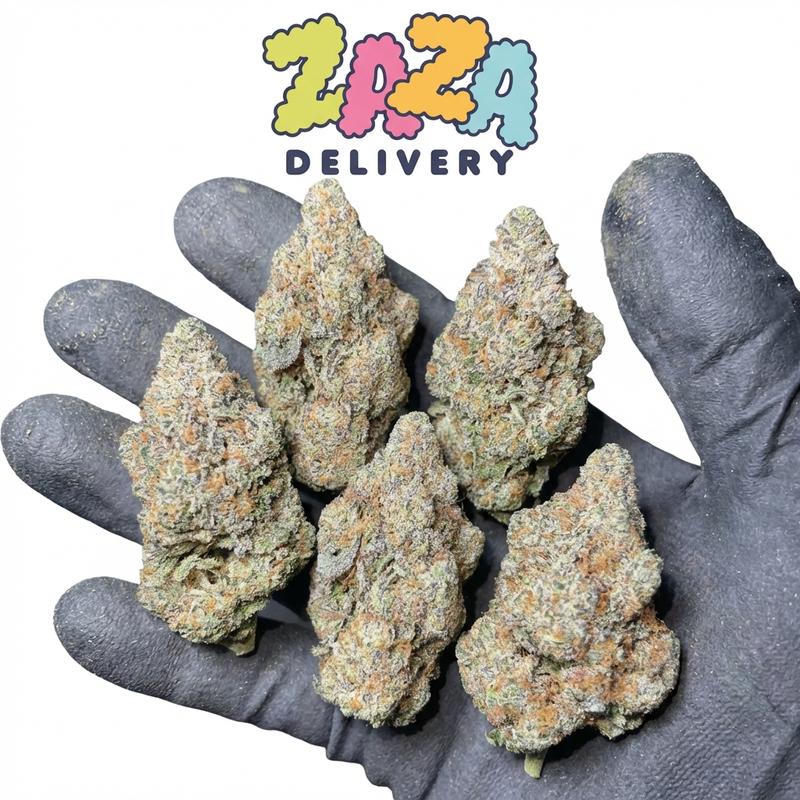 Ice Cream Gelato – Premium Batch