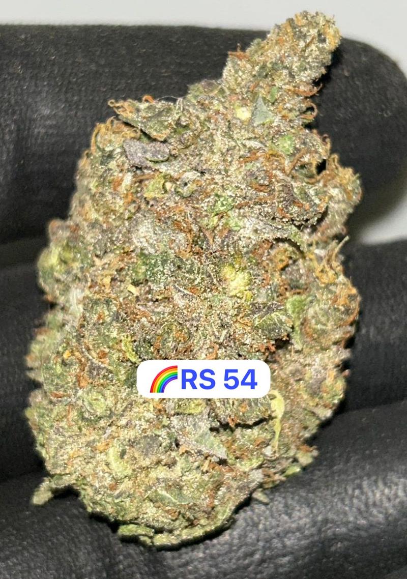 UK BUD'S