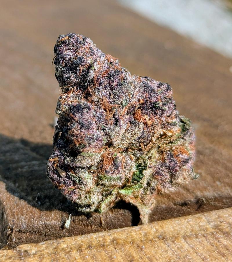 Strawberry Guava