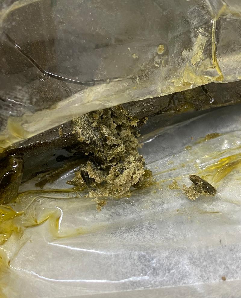 Very Rare Sativa Sour Diesel Fresh Frozen Hash