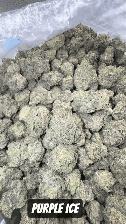 Top Shelf Exotics - Imported Loose Flower