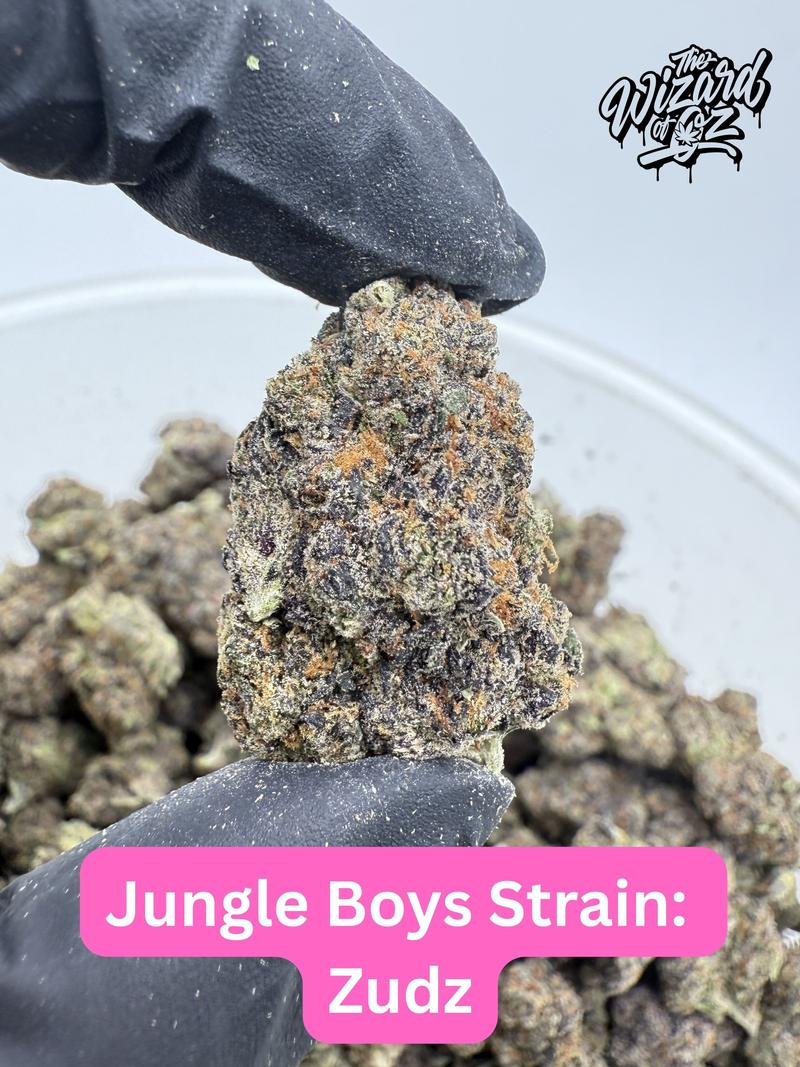 Jungle Boys Strain: Zudz