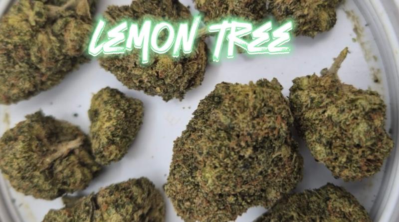 Weed world Flavours