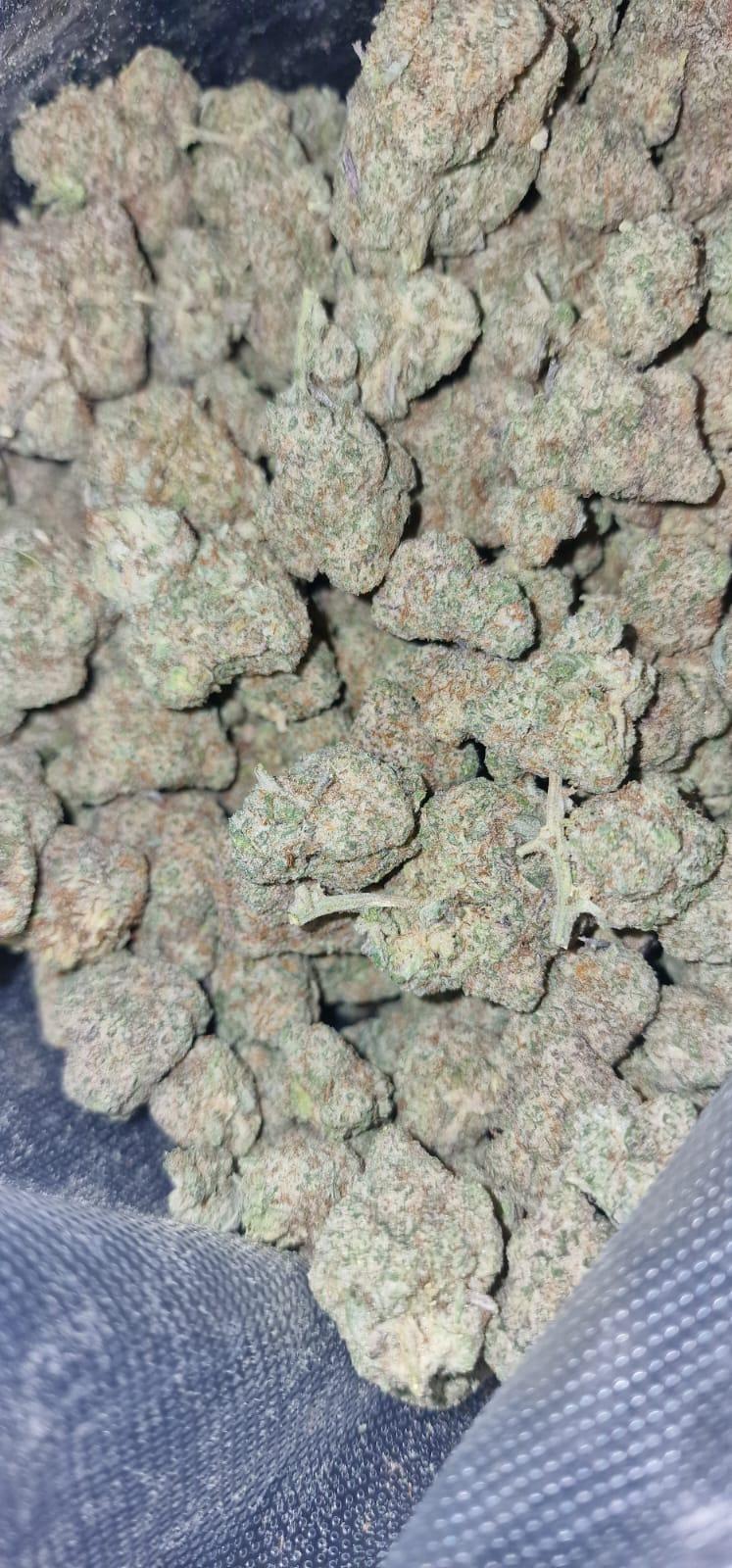 Permanent Marker - Indoor Grown Dense Terpy Buds