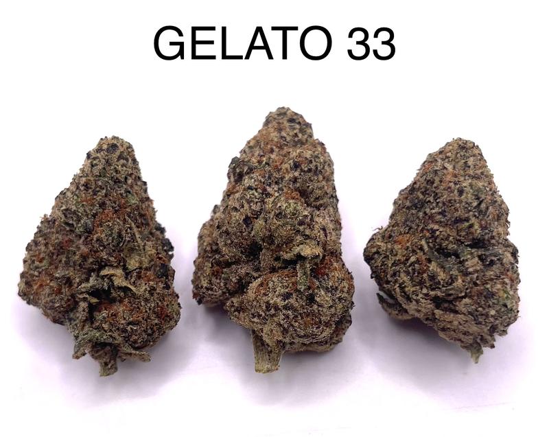 GELATO 33