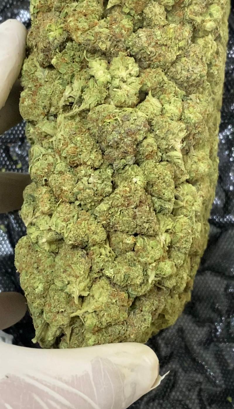 Bolo Runtz Indica (Biscotti X Sherbcake)