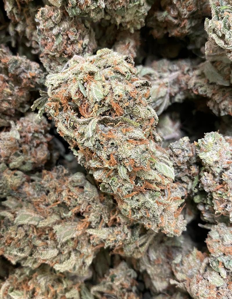 Original Super Silver Haze - S1 - 100% Sativa