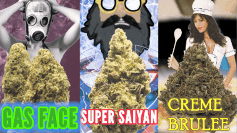 Super Flavour's