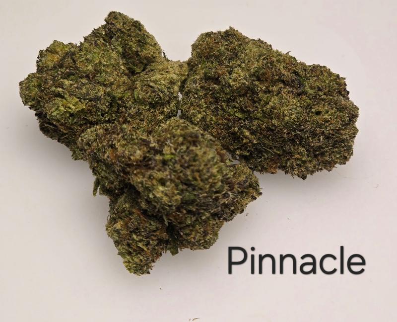 Make an oz for £160! ( Free T24 )